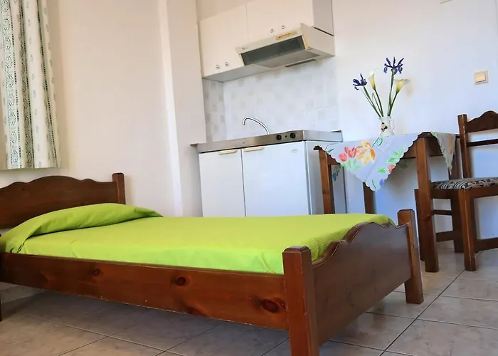 招待所 Mina's In Naxos Island