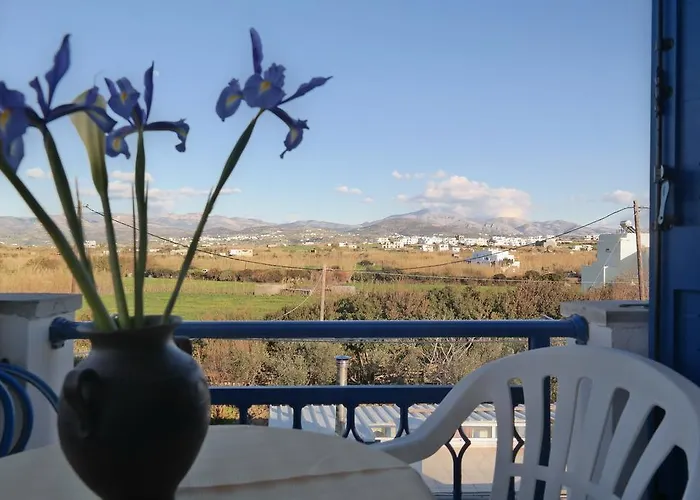 招待所 Mina's In Naxos Island 2*