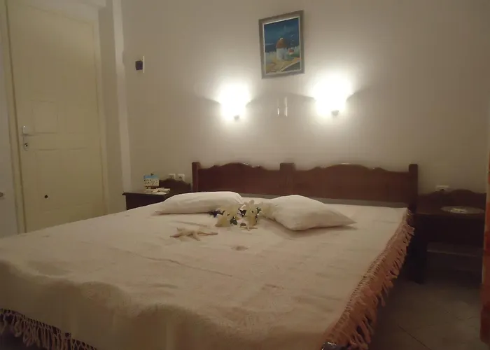 招待所 Mina's In Naxos Island