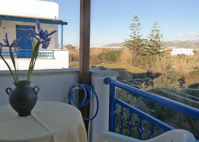 招待所 Mina's In Naxos Island