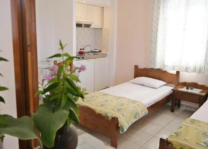 Mina's In Naxos Island 招待所